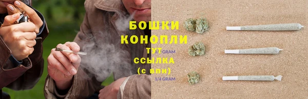 mix Богородицк