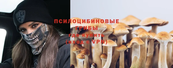 соль ск Белоозёрский